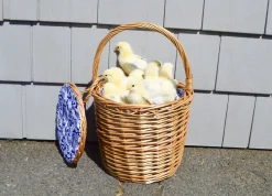 Chefanie Honey Wicker Basket| Baskets