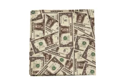 Chefanie Money Napkins (4)| Dinner Napkins