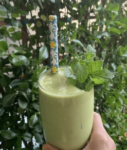 Chefanie Signature Ceramic Straws (4)| Straws