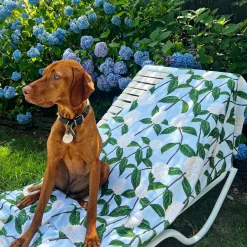 Chefanie Something Blue Hydrangea Towel| Towels