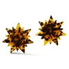 Chefanie Tortoise Star Earrings| Earrings